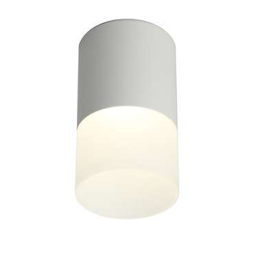 Потолочный светодиодный светильник Ercolano белого цвета