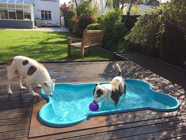 Фотография:  в стиле , Ariston, Дом и дача, водонагреватель – фото на INMYROOM