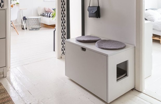 Фотография:  в стиле , Советы, домашние животные, кошка, собака – фото на INMYROOM