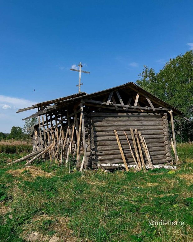 Фотография:  в стиле , LIFESTYLE – фото на INMYROOM