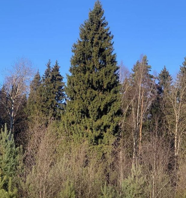 Фотография: в стиле – фото на INMYROOM