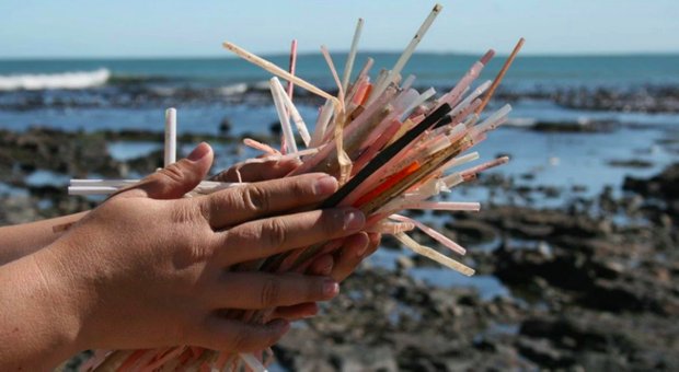 Фотография:  в стиле  – фото на INMYROOM