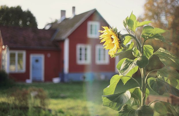 Фотография:  в стиле , Декор интерьера, Дом, Швеция, Дача, Розовый, как оформить летний дом – фото на INMYROOM