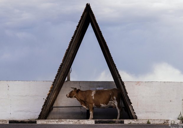 Фотография:  в стиле  – фото на INMYROOM