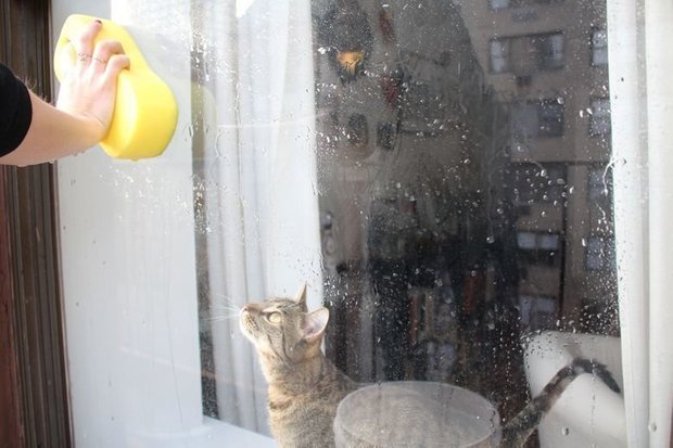 Фотография: Гостиная в стиле Прованс и Кантри, Балкон, Гид, как оформить балкон – фото на INMYROOM