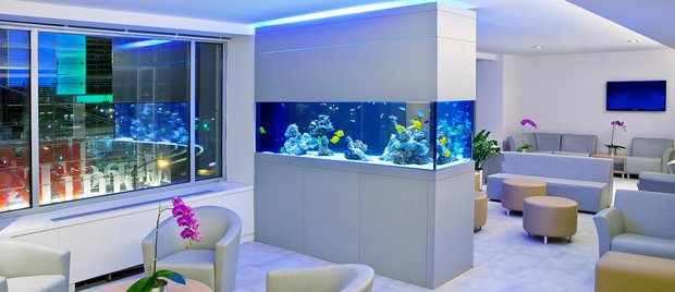 Фотография: в стиле , Советы – фото на INMYROOM