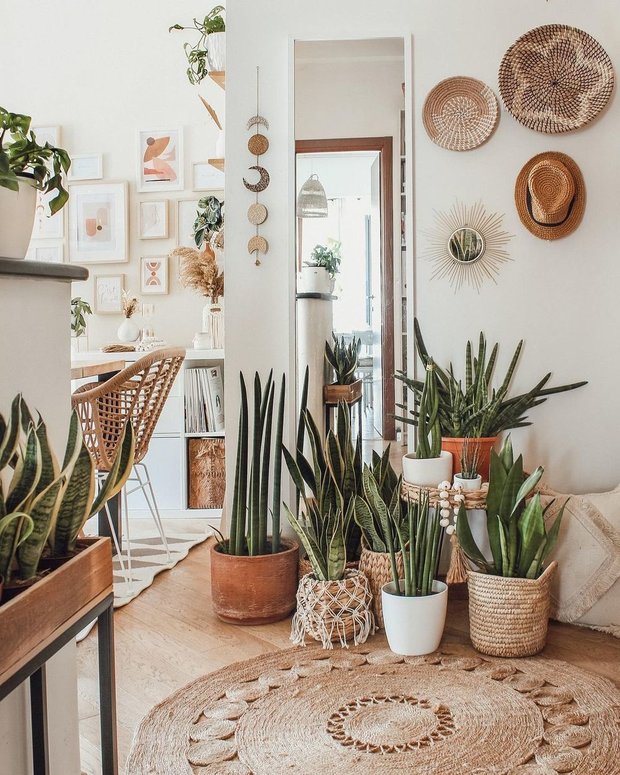 @thewhitehoneyhome
