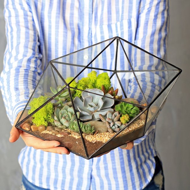 Флорариум «Кристалл»