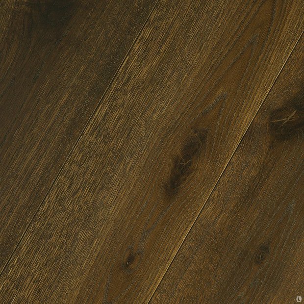 Фотография: Прочее в стиле , Индустрия, События, Галерея Neuhaus – фото на INMYROOM