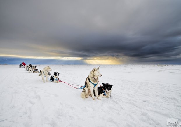 Фотография:  в стиле  – фото на INMYROOM