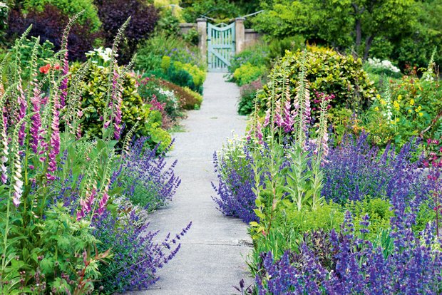 Фотография:  в стиле , Дача, Гид, Технониколь – фото на INMYROOM