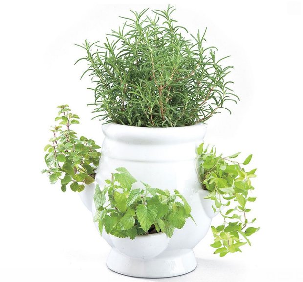 Фотография: Прочее в стиле , Флористика, Стиль жизни – фото на INMYROOM