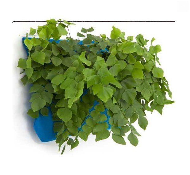 Фотография: Прочее в стиле , Флористика, Стиль жизни – фото на INMYROOM