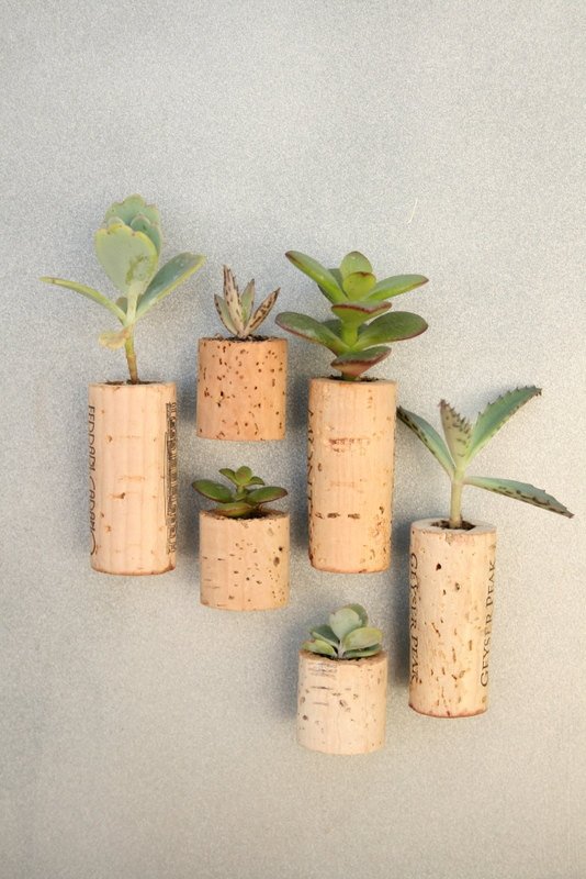 Фотография: Прочее в стиле , Флористика, Стиль жизни – фото на INMYROOM