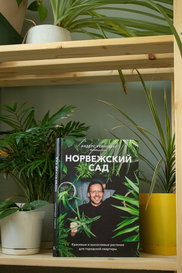 Фотография: Спальня в стиле Современный, LIFESTYLE, подборка книг – фото на INMYROOM