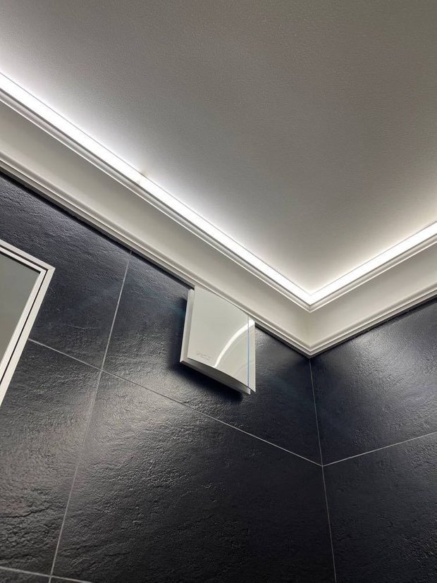 Фото: Евгений Шамин