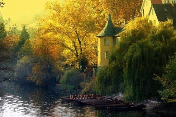 Фотография: Гостиная в стиле Минимализм, Дом, Дома и квартиры – фото на INMYROOM