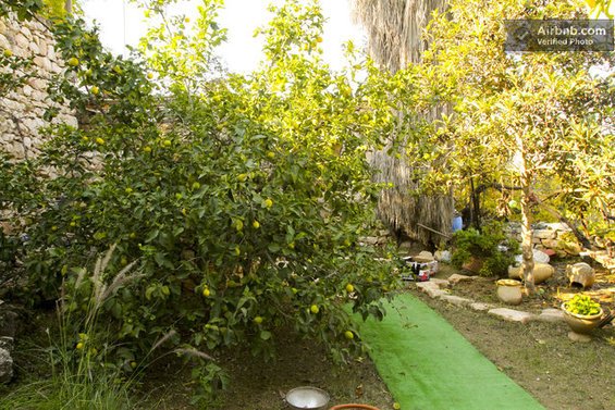 Фотография:  в стиле , Стиль жизни, Советы, Париж, Airbnb – фото на INMYROOM