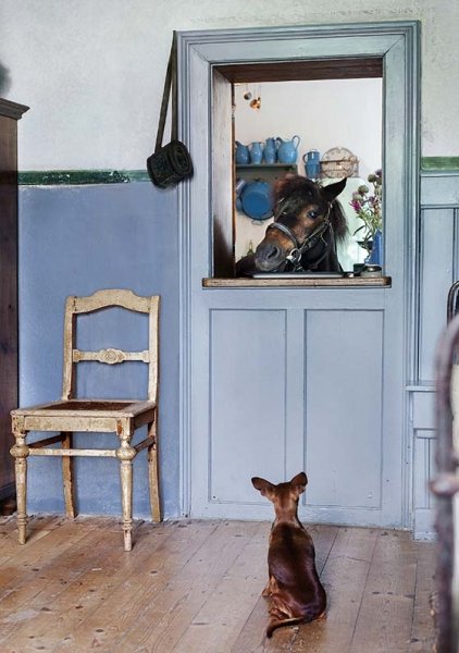 Фотография: Прихожая в стиле Прованс и Кантри, Дом, Дом и дача – фото на INMYROOM