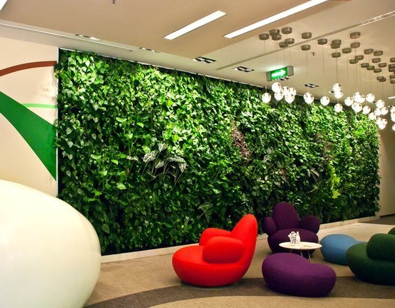 Фотография: Декор в стиле Современный, Эко, Декор интерьера, Офисное пространство, Ландшафт, Стиль жизни – фото на INMYROOM