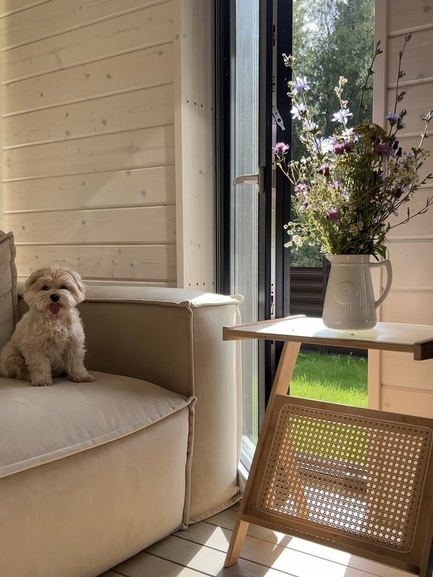 Фотография:  в стиле , Дом, Ремонт на практике, Дом и дача, Истринский район, 4 и больше, Более 90 метров – фото на INMYROOM