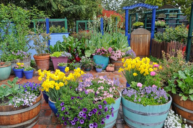 Фотография: Прочее в стиле , Флористика, Стиль жизни, Дача – фото на INMYROOM