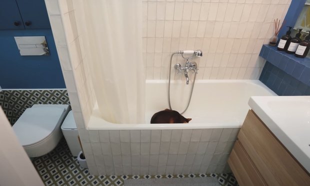 Фотография:  в стиле , Ванная, Советы, дизайн ванной комнаты – фото на INMYROOM