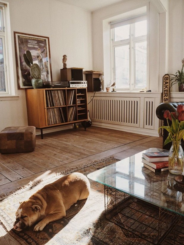 Фотография: Гостиная в стиле Скандинавский, Советы, уборка, чистота, лайфхаки, животные дома, если в доме есть животные – фото на INMYROOM