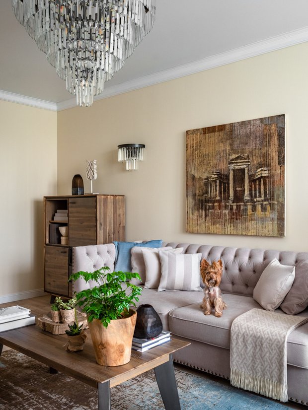 Фотография:  в стиле , Кухня и столовая, Гостиная, Гид, домашние животные, питомцы – фото на INMYROOM