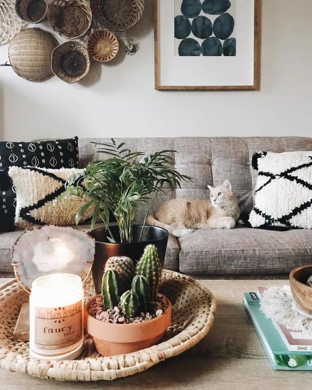 Фотография: Гостиная в стиле Скандинавский, Советы, уборка, чистота, лайфхаки, животные дома, если в доме есть животные – фото на INMYROOM