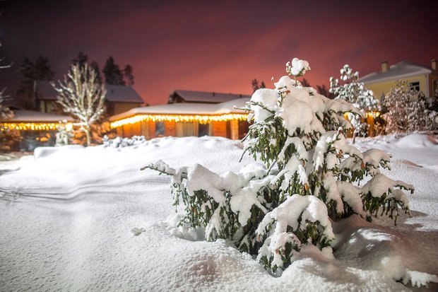 Фотография:  в стиле , Советы, Derevo Park – фото на INMYROOM