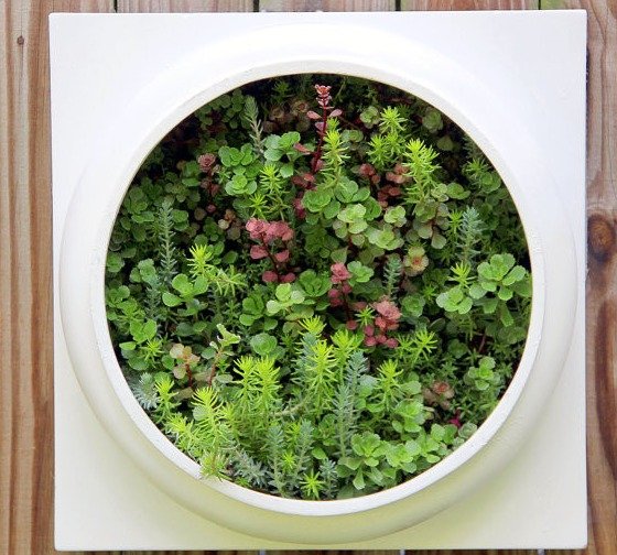 Фотография: Прочее в стиле , Флористика, Стиль жизни – фото на INMYROOM