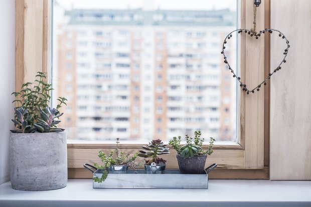 Фотография:  в стиле , Декор интерьера, Подоконник – фото на INMYROOM
