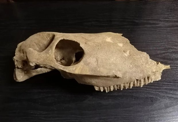 Фотография:  в стиле  – фото на INMYROOM