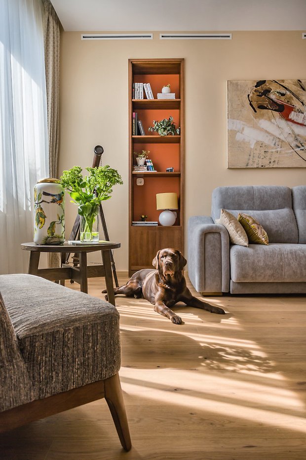 Фотография:  в стиле , Кухня и столовая, Гостиная, Гид, домашние животные, питомцы – фото на INMYROOM
