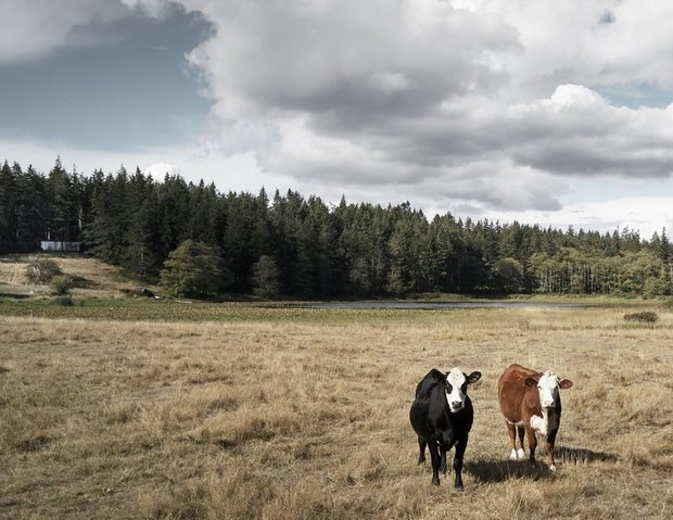 Фотография:  в стиле , Современный, Дом, Минимализм, Бежевый, Серый, Дом и дача – фото на INMYROOM