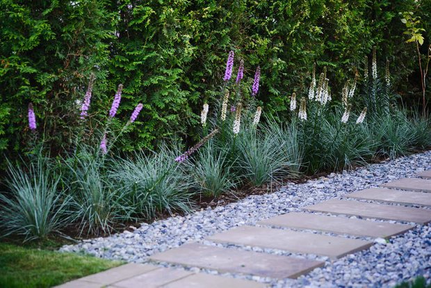 Дизайн: Derevo Park