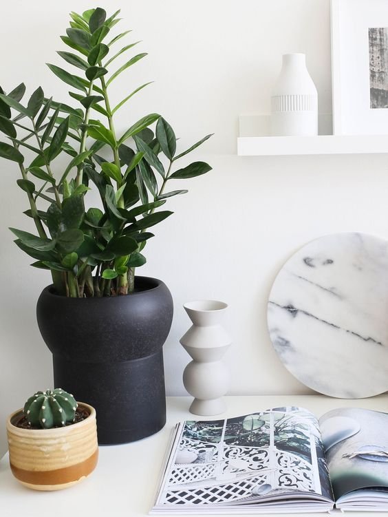 Фотография: Декор в стиле Скандинавский, Советы, Ольга Почуева – фото на INMYROOM