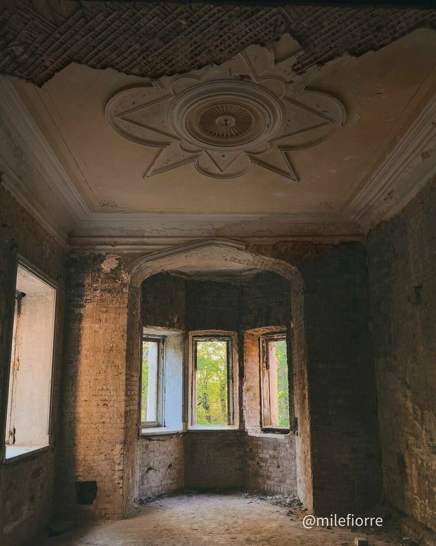 Фотография:  в стиле , LIFESTYLE – фото на INMYROOM