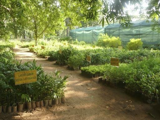 Фотография: Прочее в стиле , Флористика, Стиль жизни, Дача – фото на INMYROOM