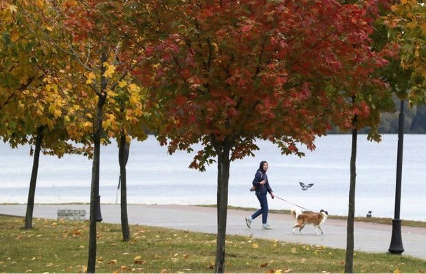 Фотография: Ванная в стиле Современный, Минимализм – фото на INMYROOM