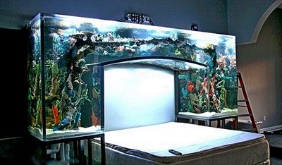 Фотография: Гостиная в стиле Современный, Декор интерьера, DIY – фото на INMYROOM