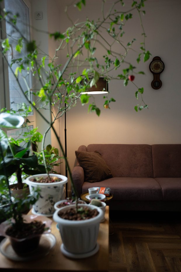 Фотография:  в стиле , Квартира, Ремонт на практике, 2 комнаты, 60-90 метров, ремонт своими силами, Барнаул – фото на INMYROOM