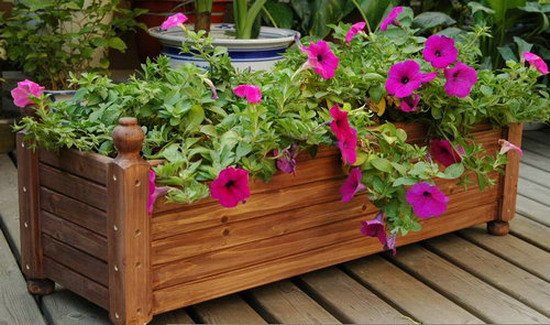 Фотография: Прочее в стиле , Флористика, Стиль жизни – фото на INMYROOM