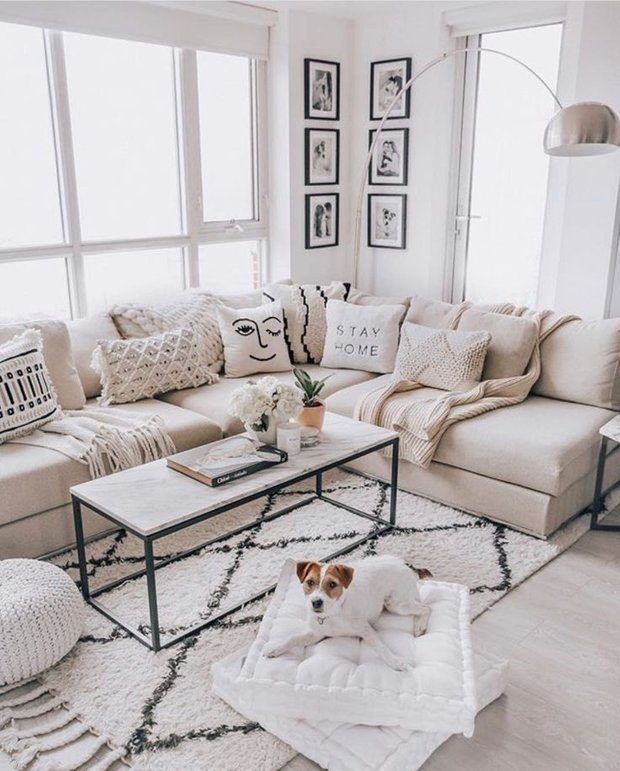 Фотография: Гостиная в стиле Скандинавский, Советы, уборка, чистота, лайфхаки, животные дома, если в доме есть животные – фото на INMYROOM