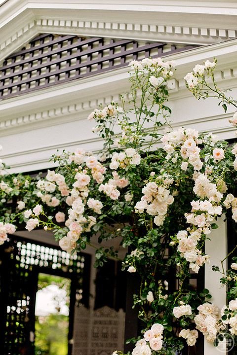 Фотография: Спальня в стиле Прованс и Кантри, Ландшафт, Флористика, Декор, Советы, Гид – фото на INMYROOM