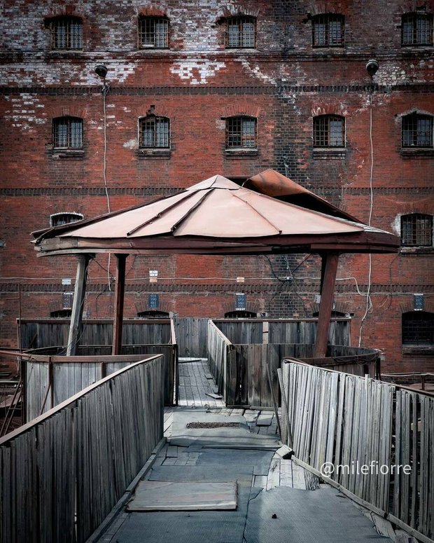 Фотография:  в стиле , LIFESTYLE – фото на INMYROOM