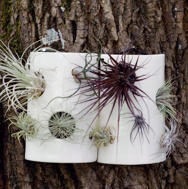 Фотография: Прочее в стиле , Флористика, Стиль жизни – фото на INMYROOM