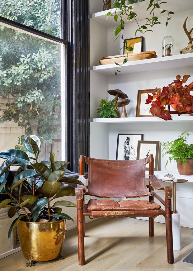 Фото из книги Бэйлора Чапмана «Decorating with plants»