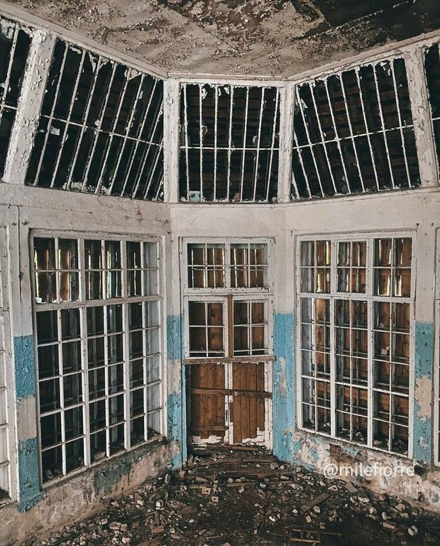 Фотография:  в стиле , LIFESTYLE – фото на INMYROOM